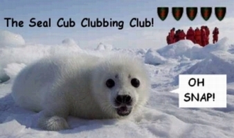 The Seal Cub Clubbing Club