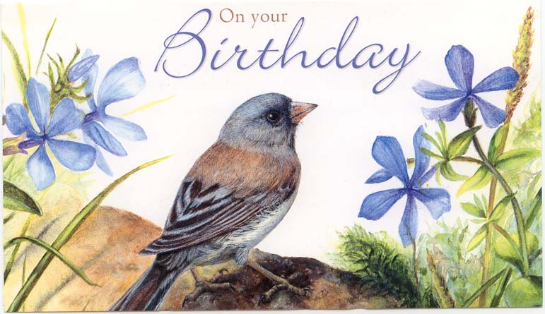 С днем рождения птица. С днем рождения птичка. Поздравляю птицы. Птицы поздравляют с днем рождения. Поздравления с днем рождения с птичками.